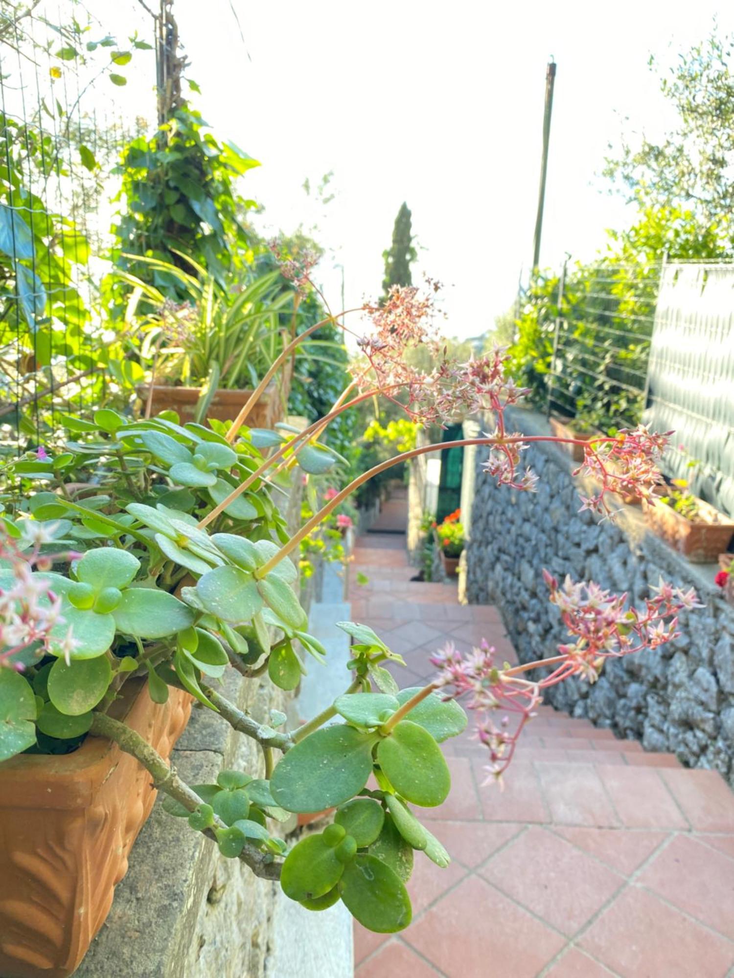 B&B La Ciammurrella Anacapri  Luaran gambar
